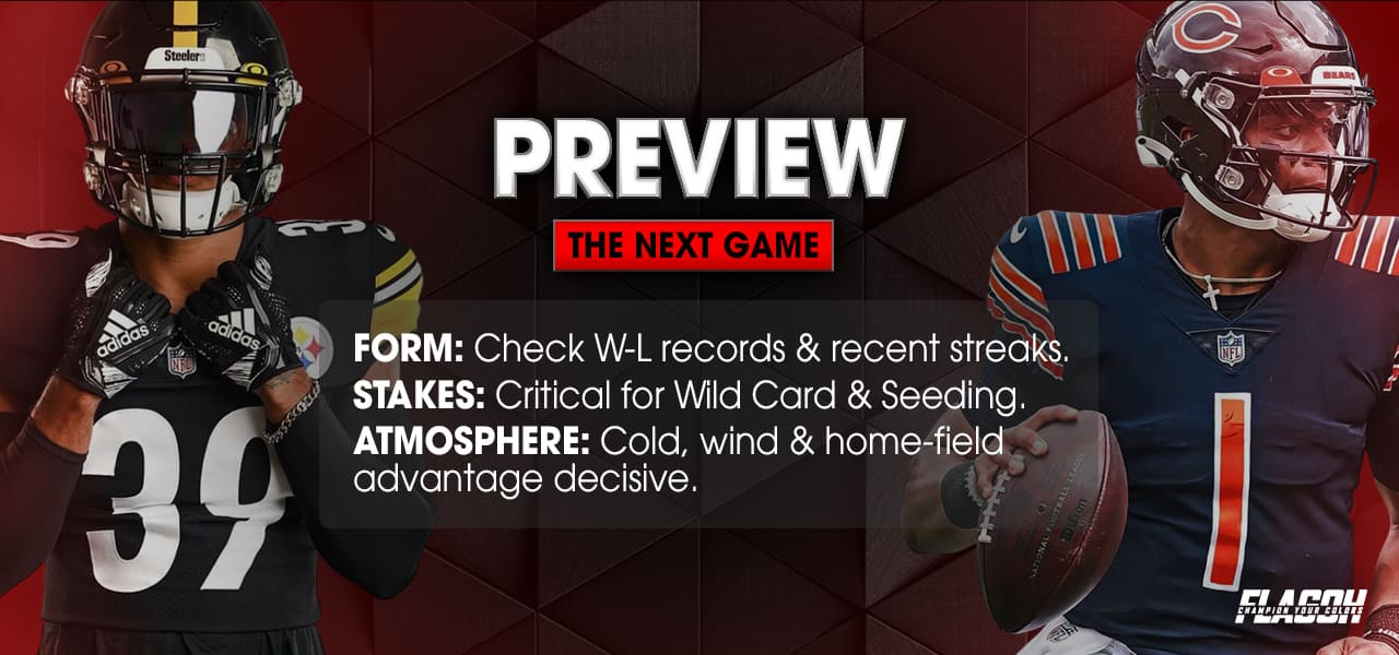 Previewing the Next Bears vs Steelers Game